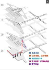 國際登機指南示意圖