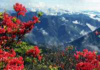 龍泉山[山東省沂水縣龍泉山]