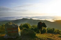 達坂山