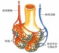 壬基酚氧乙烯