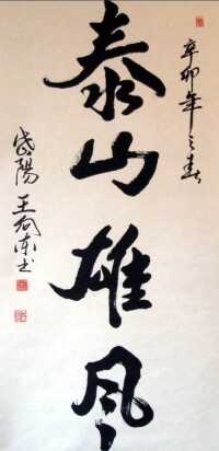 王向東[山東書法家]