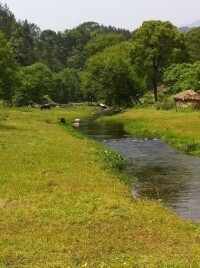 涼亭河村[湖北省黃岡市羅田縣河鋪鎮涼亭河村]