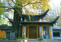 靈峰寺[山東省蘭陵縣靈峰寺]