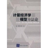 計量經濟學模型方法論