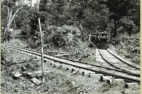 森林鐵路