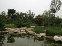 龍遊河生態公園風景