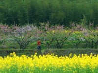 龍河村