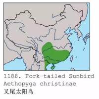 白冠長尾雉中國分布圖