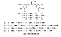 姜酚