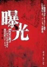 曝光[李玉平著社會小說]