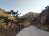 卧龍鄉復興村生態路