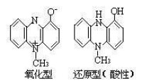 綠膿菌素