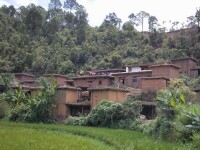 荒田村[雲南省麻栗坡縣八布鄉荒田村]