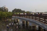 寶安西灣紅樹林濕地公園景觀