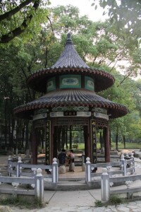 公園景色