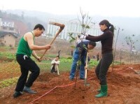 王輝（左一）在參加植樹活動