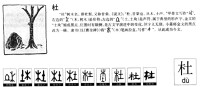 杜的字源演變圖