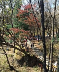 橫頭山國家森林公園