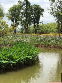 中國濕地公園