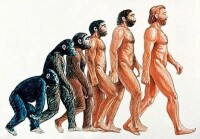 猿進化為現代人