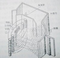 四極管