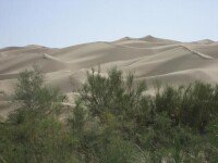 塔里木沙漠公路風景圖集（1）