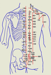 拔罐減肥