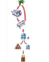 天然葡萄酒家庭加工