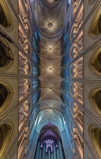 巴黎聖母院的拱頂