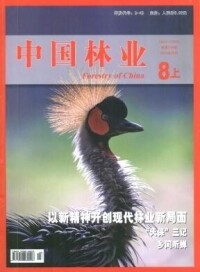 中國林業雜誌封面