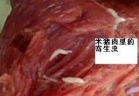 捕食寄生者