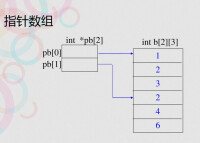 數組指針