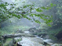 黑熊谷森林公園
