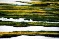 鄱陽湖平原