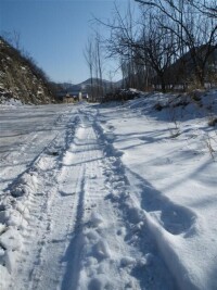 城北村[河北省秦皇島市青龍縣城北村]