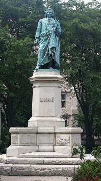 林奈塑像（芝加哥大學）