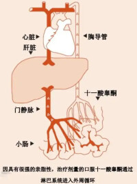 十一酸睾酮膠丸