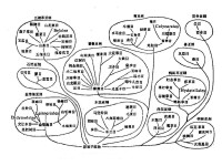 哈欽松被子植物系統圖