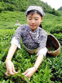 園藝村[安徽當塗縣護河鎮下轄村]