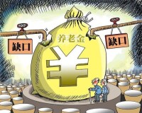 以房養老資金