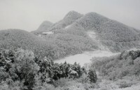 龍坪鎮[湖北省襄陽市保康縣龍坪鎮]