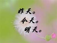 昨日今日明日