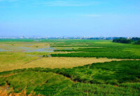 閩江河口國家濕地公園