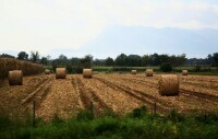 義大利農村