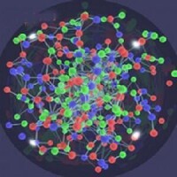 “一群”協調運動的夸克與膠子之間的關係
