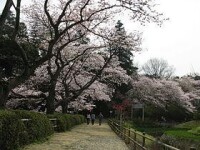 清水公園