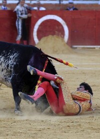 西班牙“鬥牛士”