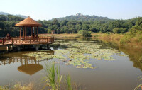 漳州荔枝海生態保護公園