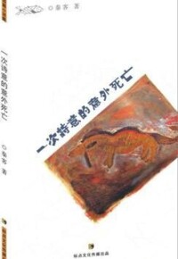 短篇小說集《一次詩意的意外死亡》