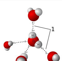 水分子